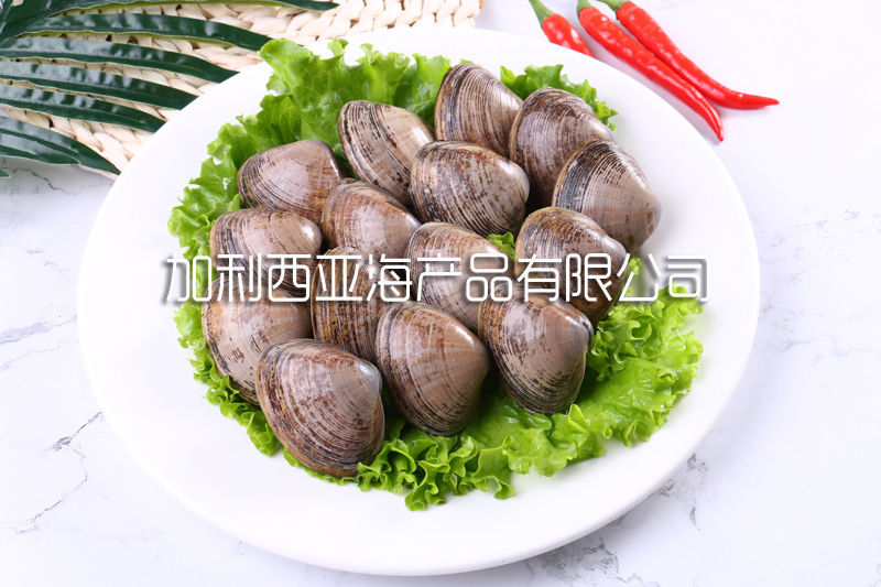 青柳蛤(黃蜆子) 介紹